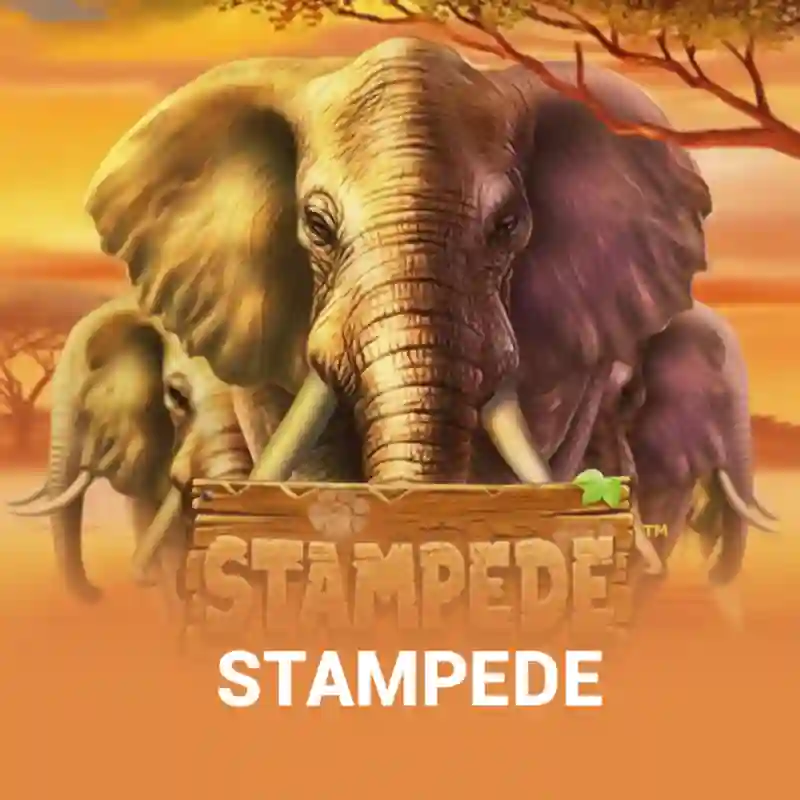 Stampede